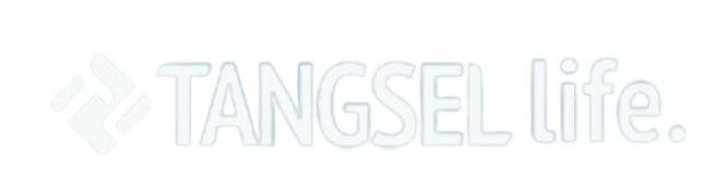 design.tangselife.com